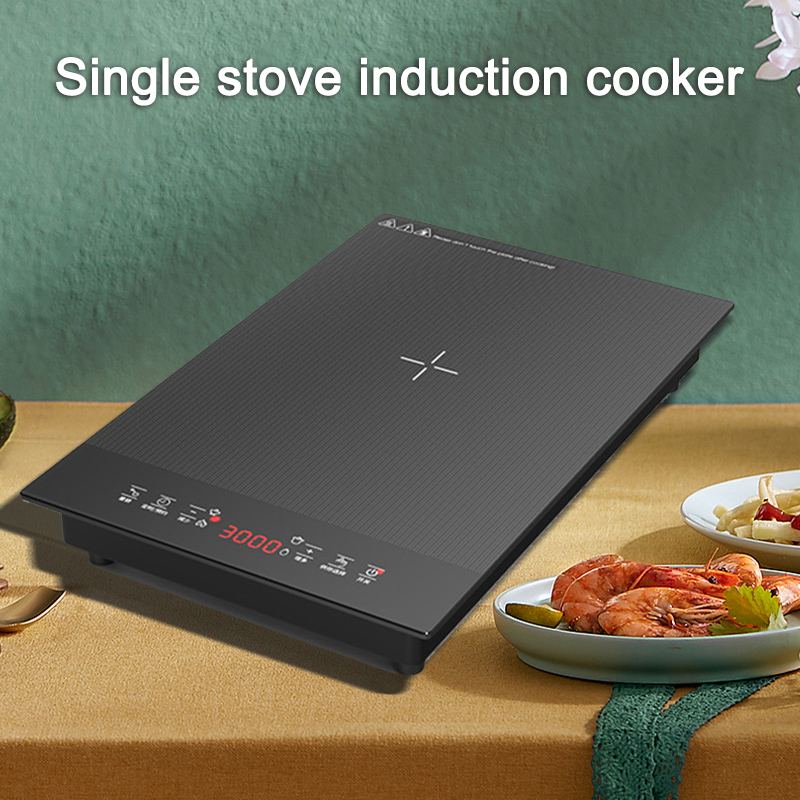 Induction Cooker Commercial - Cuisinière à Induction intégrée 3000W, cuisinière